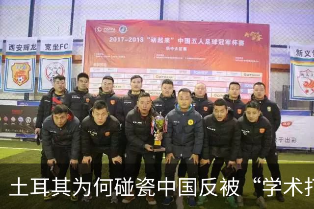 土耳其为何碰瓷中国反被“学术打脸”？