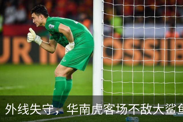 外线失守，华南虎客场不敌大鲨鱼