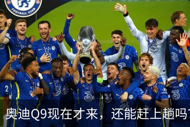 奥迪Q9现在才来，还能赶上趟吗？