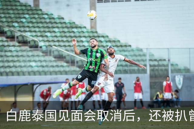白鹿泰国见面会取消后，还被扒曾为缅北拍宣传片，知情人爆料更多