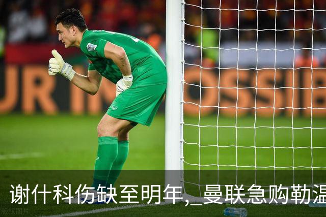 谢什科伤缺至明年, 曼联急购勒温补锋线